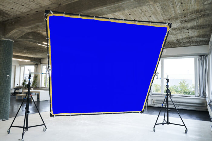 blue screen Butterly fabric