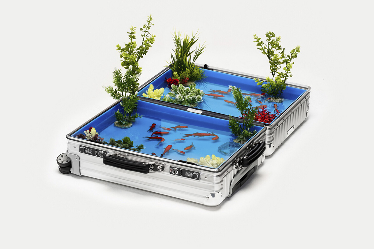 open REMOWA suitcase, in which goldfish pond was created for their image campaign